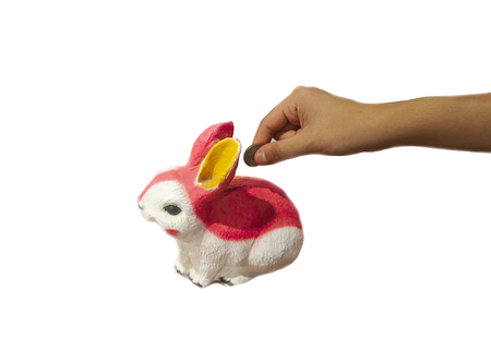 Piggy bank, ceramic rabbitの写真素材