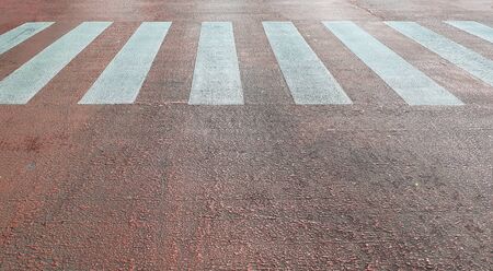 Crosswalk on the road in the evening