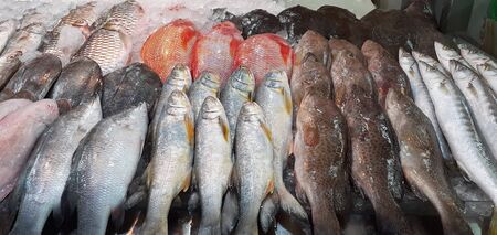 Many fresh saltwater fish fresh in the fridge of a seafood restaurant in Thailandの写真素材