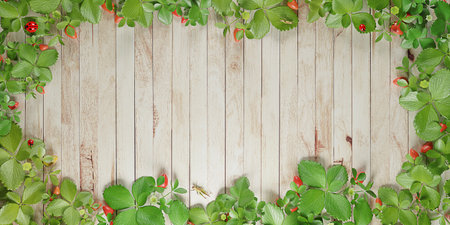 background Wood floor leaf frame vintage style plank covered with green leaves Plank with fresh branches leaves border 3D illustration Strawberry treeの写真素材