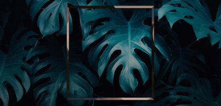 Frame and leaves Spathiphyllum cannifolium concept Green abstract texture with frame nature...