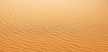 Sand background Panorama of the desert Wrinkles of sand blown by the windの写真素材