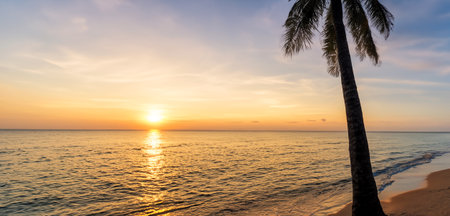 Beach seaside evening at sunset With coconut trees orange skyの写真素材