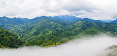 Panorama of high mountain ranges Filled with green trees nature and complex mountain rangesの写真素材