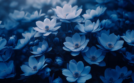 blue flowers flower field romantic background style vintageの素材