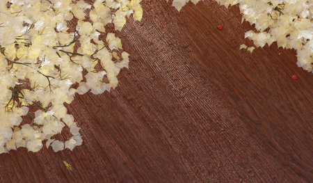 Wooden floor, background with branches, natural backdrop, 3D illustrationの写真素材