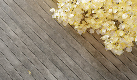 Wooden floor, background with branches, natural backdrop, 3D illustrationの写真素材