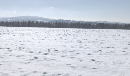 Snow landscape, winter, vast area covered with snow, nature view, landscape, sky, mountain, 3D illustrationの写真素材