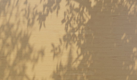 Background, wooden floor with wood shadow, wood pattern, wood planks with shadow, 3D illustration.の写真素材