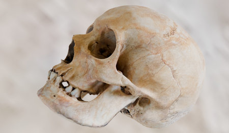 Skull, human head, bones, demon, 3D background imageの写真素材