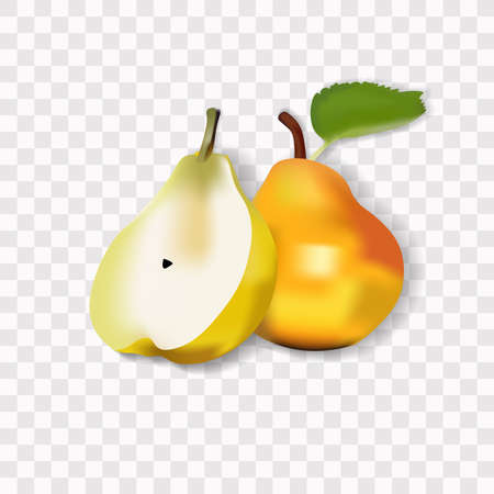 Yellow and orange pear with half realistic image with shadow vector illustration at transparent background. Design for grocery, culinary products, seasoning and spice package, recipe.のイラスト素材