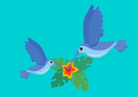 Two cute blue flying colibri bird. Logo template. Flat icon. Tropical plants. Exotic birds isolated on blue background. Summer tropical graphic element. Tropical animal. Flat vector illustration.のイラスト素材