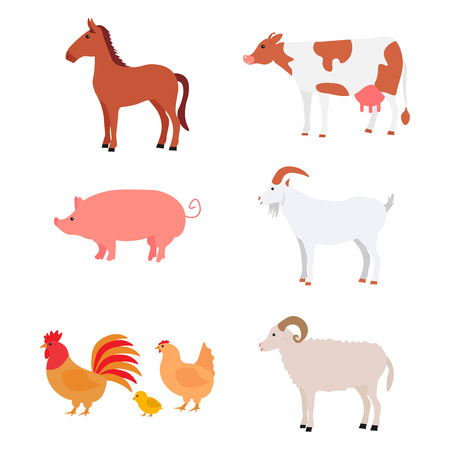 Large multicolored set cute home pets or farm animals. Cartoon animals collection include horse, cow, pig, goat, ram, cock and chicken isolated on white background for books flat vector illustration.のイラスト素材
