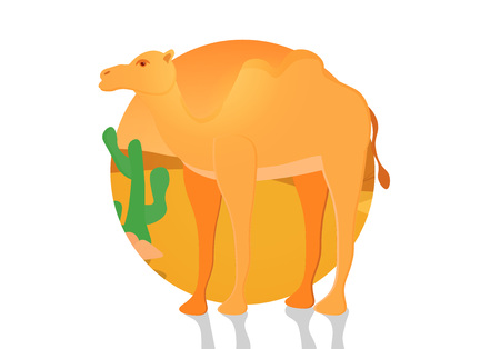 A two-humped camel. Bactrian. Cute camel with shadow. Domesticated animal from Central Asia. Beast of burden. Artiodactyla. Ship of the desert. On desert sunset background with cactus. Flat vector.のイラスト素材