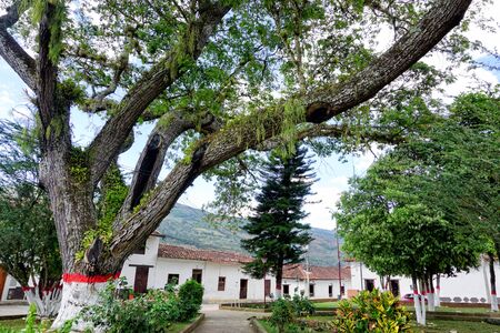 View of the town's central park of Valle de San Jose, Santander, Colombiaの写真素材