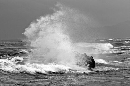 An everlasting duel. Against each - other and together forever.の写真素材