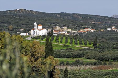 the village and the church sorrounded by the olive treesの写真素材