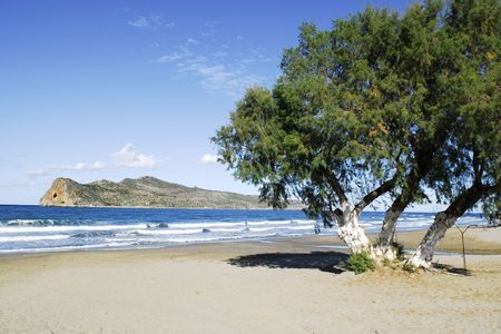 the tree with the island as background in Agia Marina, Chania, Creteの写真素材