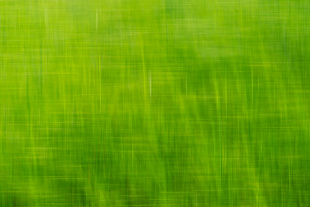 Green  Background illusionの写真素材