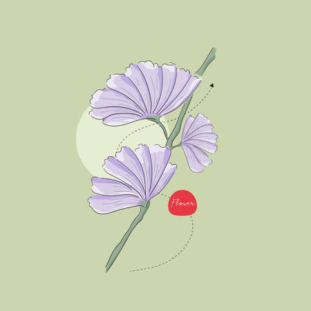 Vector illustration of flowers. Daisy. Bouquet. Daisy. Hand drawn. Isolated background.のイラスト素材