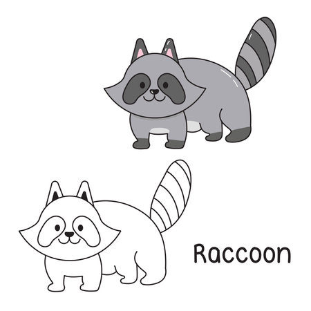 Vector illustration. Coloring book , Coloring raccoon. Cartoon animal. Clipart set for nursery poster, Practice skillsのイラスト素材