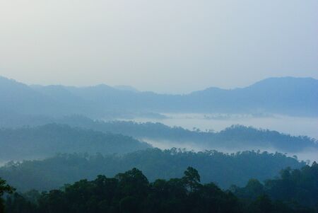 Mist