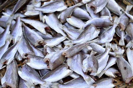 Fish dry in food market