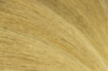 Blur of detail broom background