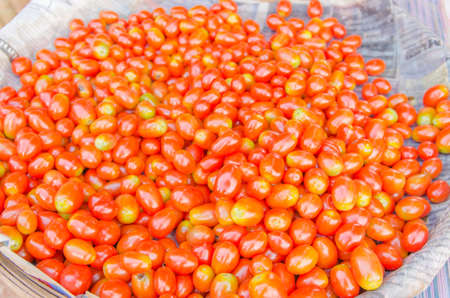 Red of Tomatoesの写真素材