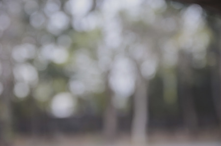 Blur backgroundの写真素材