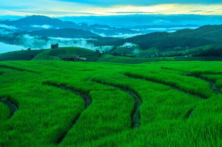 Rice terrace of mountainの写真素材