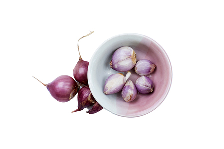 onion on backgroundの写真素材