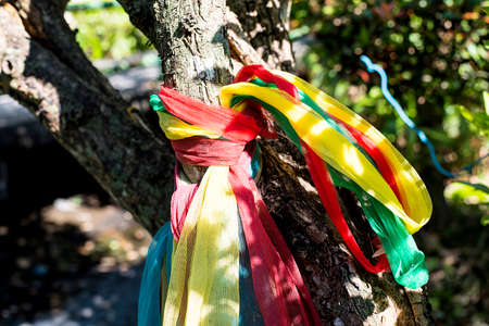 Three color fabric in gardenの写真素材