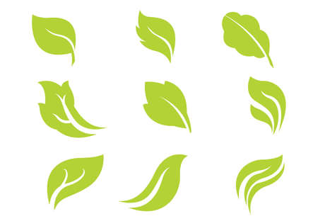 Vector leaf Set