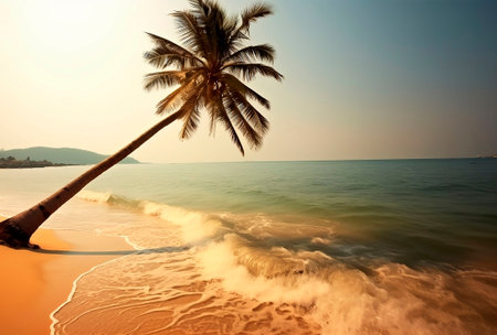 Tropical beach with coconut palm tree at sunset. nature backgroundの素材