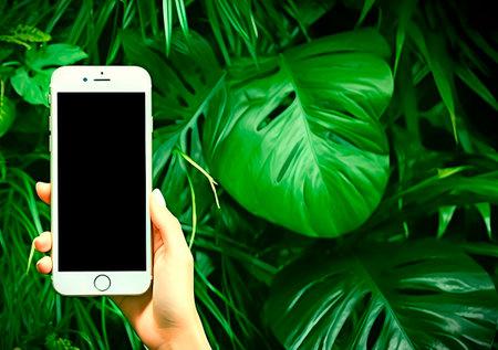 Smart phone in hand on green background with monstera leaves, copy spaceの素材