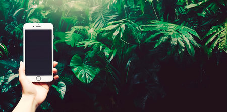 Woman hand holding smart phone with blank screen over green tropical background.の素材