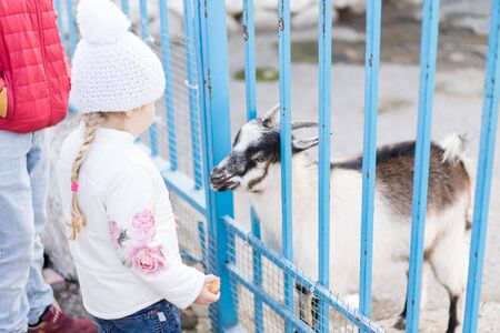 Baby and goat look at each other.Baby and goat look at each otherの写真素材