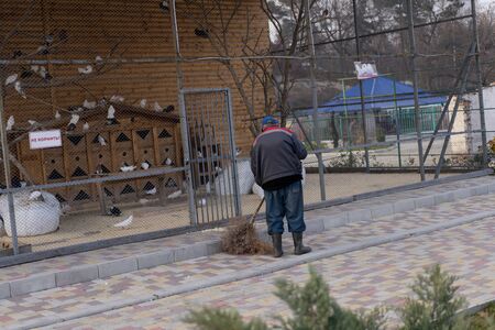Janitor sweeping the courtyard of the zoo.Janitor sweeping the courtyard of the zooの写真素材