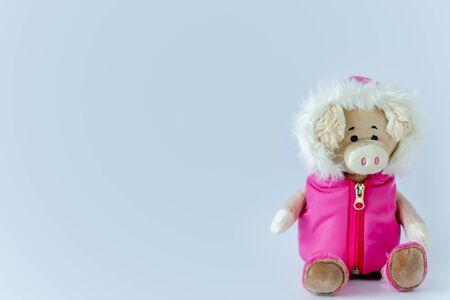 Soft toy on a white background.Soft toy on a white background