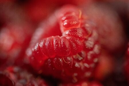 Fresh raspberry on raspberry background.Fresh raspberry on raspberry background