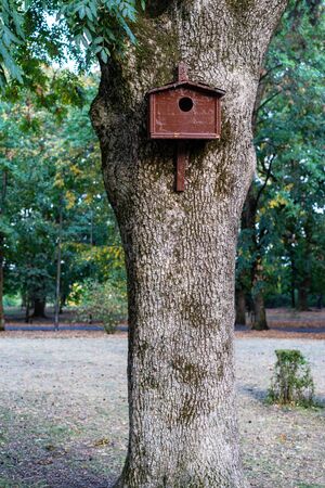 Birdhouse tree house for birds.Birdhouse tree house for birdsの写真素材