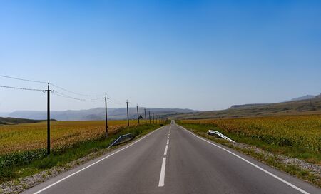 The road in the middle of the corn field.The road in the middle of the corn fieldの写真素材
