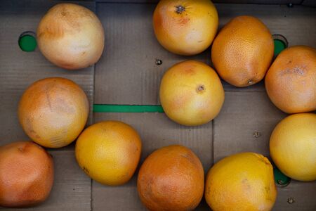 Bad oranges in a shop window sale.Bad oranges in a shop window sale