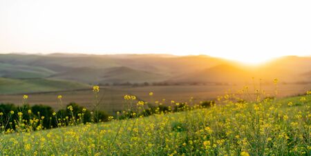 Beautiful landscape in the foothills.Beautiful landscape in the foothills