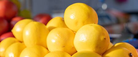 Lemons as background and texture.Lemons as background and textureの写真素材