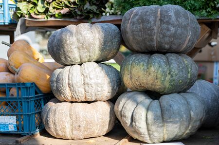 Pumpkin at the fair for sale.Pumpkin at the fair for saleの写真素材