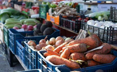 Vegetables fruits at the fair.Vegetables fruits at the fairの写真素材
