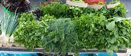 Greens on the counter for sale.Greens on the counter for saleの写真素材