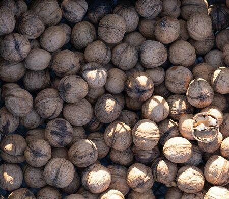 Walnuts as background and texture.Walnuts as background and textureの写真素材